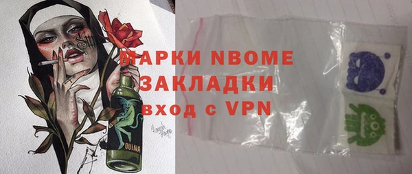 прущие грибы Горно-Алтайск