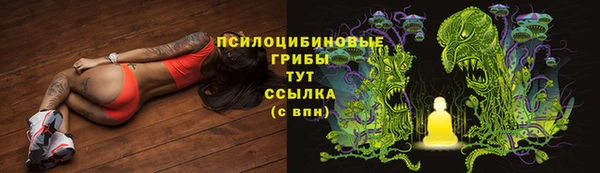 сатива Горняк