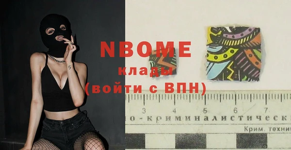 сатива Горняк