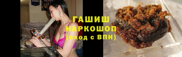 прущие грибы Горно-Алтайск