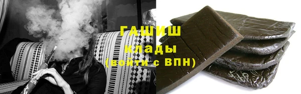 прущие грибы Горно-Алтайск