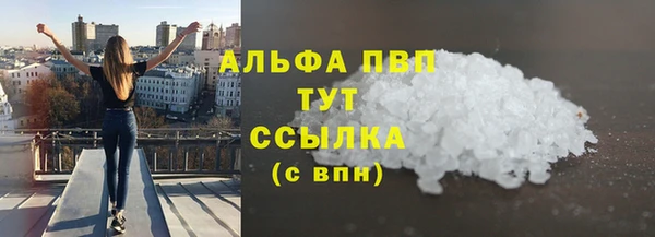 прущие грибы Горно-Алтайск