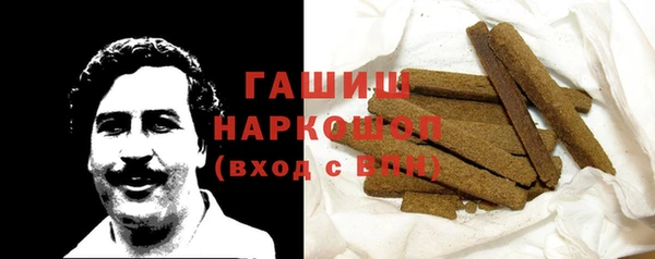 прущие грибы Горно-Алтайск