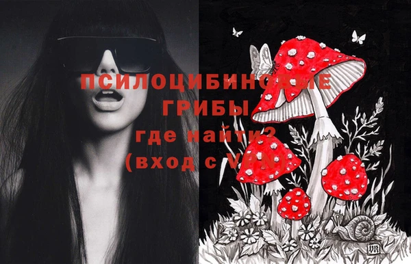 герыч Горнозаводск