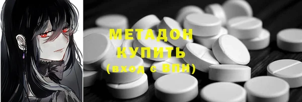 сатива Горняк