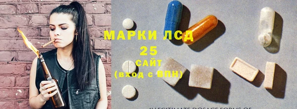 сатива Горняк