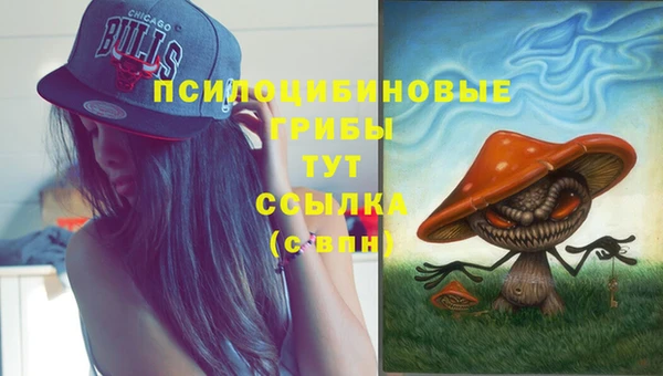 прущие грибы Горно-Алтайск