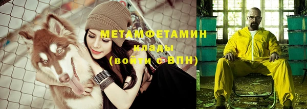 прущие грибы Горно-Алтайск