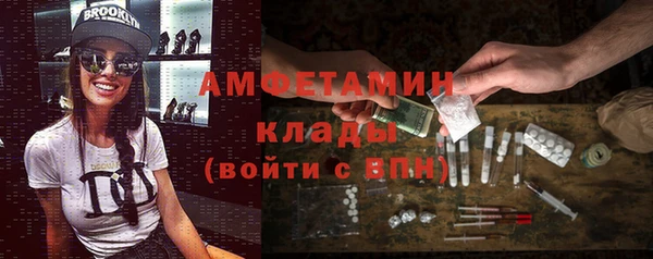 сатива Горняк